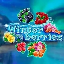 beepbeepkasino_Winter-berries