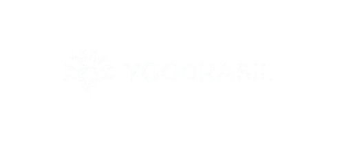 beepbeepkasino_YGGDRASIL